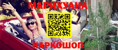 сатива Будённовск