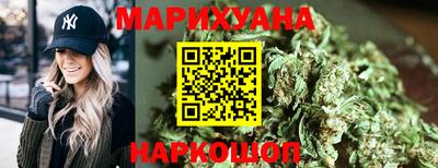 сатива Будённовск