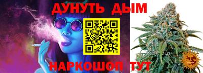 сатива Будённовск