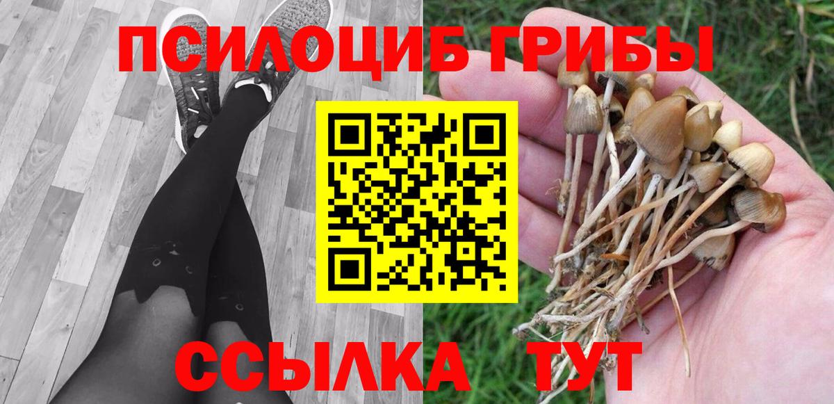 Псилоцибиновые грибы мухоморы  Псилоцибиновые грибы прущие грибы  Луга  Вход с VPN 